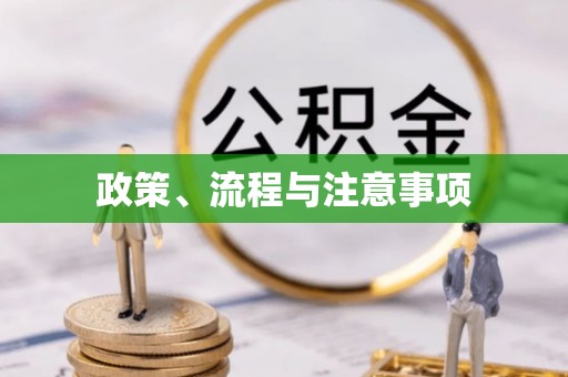 雨城政策、流程与注意事项