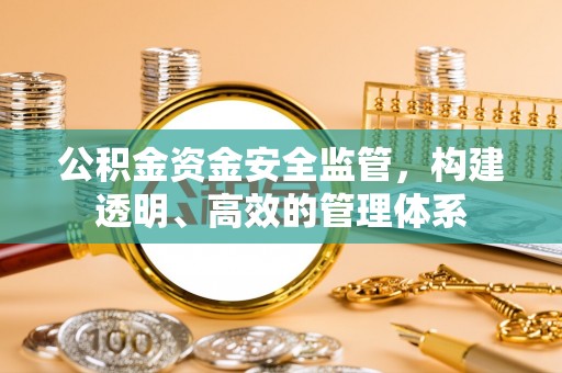 雨城公积金资金安全监管，构建透明、高效的管理体系