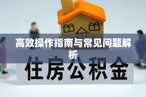 雨城高效操作指南与常见问题解析
