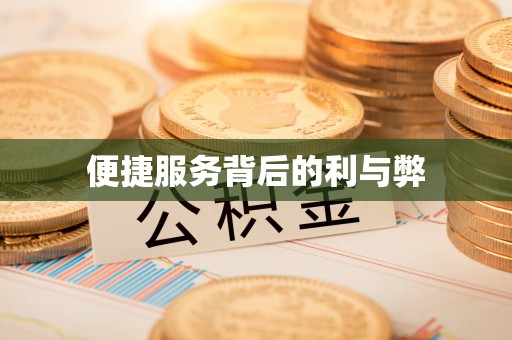 雨城便捷服务背后的利与弊