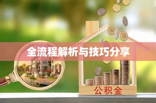 雨城全流程解析与技巧分享